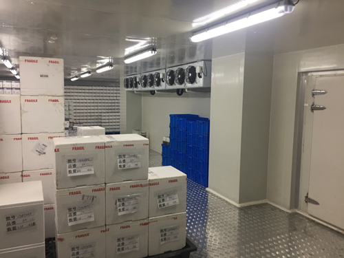 合肥某廚房設(shè)備工程有限公司冷庫項(xiàng)目